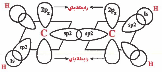 الألكينات