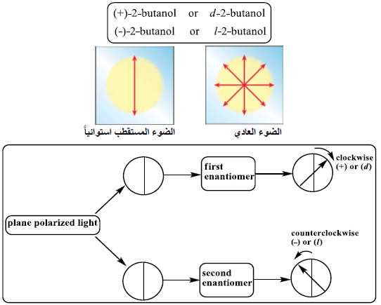 الضوء المستقطب استوائياً plane-polarized light