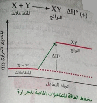 الفيزيائية من الماصة للطاقة التغيرات ما هي