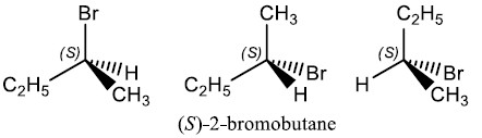 الفرق بين جزئيات Homomers وجزئيات Topomers