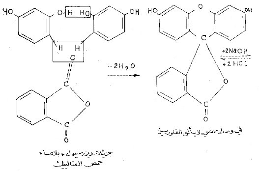 الفلوريسين