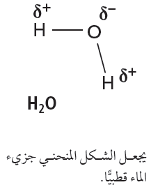 جزئ ما الماء نوع ما نوع