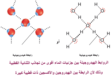 قوى التشتت قوى بين الجزيئات تحدث بين أقطاب مؤقتة