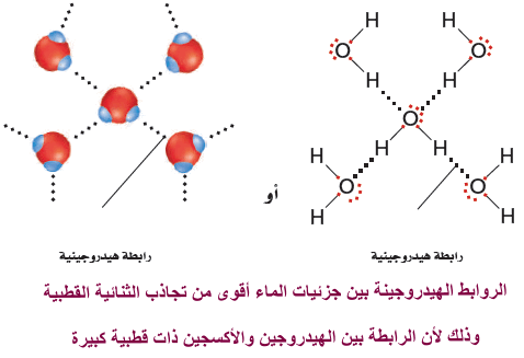 جزئ الماء نوع ما لماذا الماء