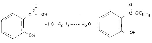 تحضير ساليسيلات الإيثيل Ethyl salicylate