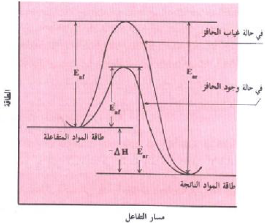 العامل المحفز مادة تعمل على زيادة سرعة التفاعل دون ان تتغير