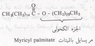 ما هي الليبيدات البسيطة ؟   ما هي الليبيدات المركبة؟