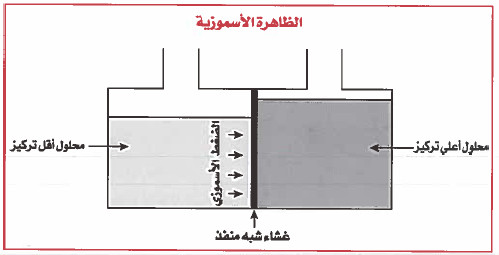 الضغط الأسموزي Osmotic Pressure