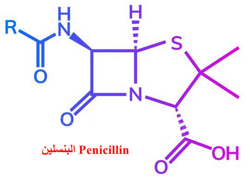 البنسلين Penicillin